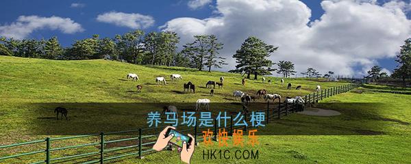 养马场是什么梗_养马场有什么特殊意思