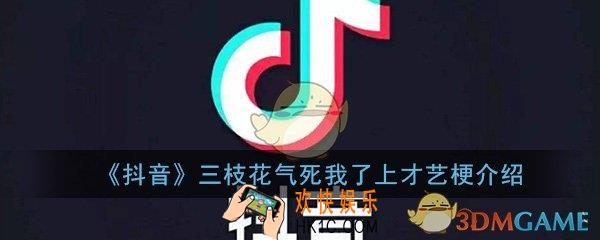 抖音气死我了上才艺是什么梗_三枝花气死我了上才艺出处梗详细介绍