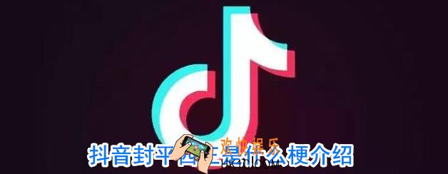 抖音封平西王是什么梗_封平西王是什么意思