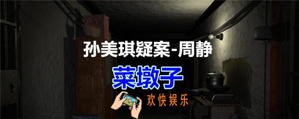 周静疑案攻略菜墩子线索在哪获得_孙美琪疑案DLC周静菜墩子线索位置