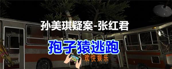 张红君疑案孢孑猿逃跑在哪找_孙美琪疑案张红君三级线索孢孑猿逃跑