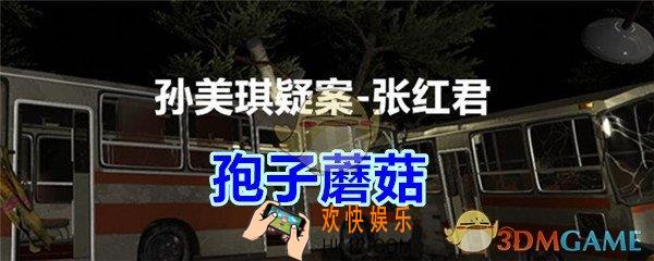 张红君疑案孢子蘑菇在哪找_孙美琪疑案张红君三级线索孢子蘑菇