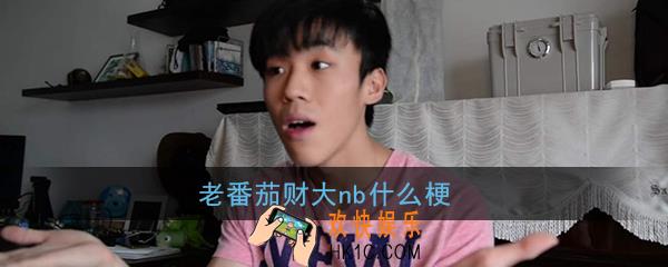 老番茄财大nb什么梗_老番茄财大nb梗含义出处介绍