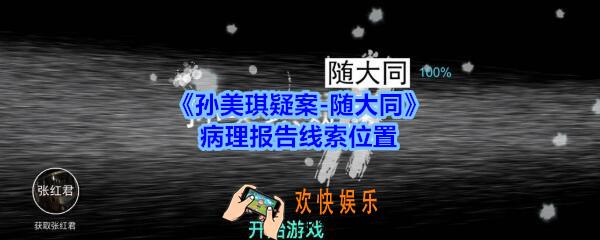 孙美琪疑案随大同病理报告线索在哪_随大同疑案病理报告线索位置