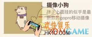 动物餐厅摄像小狗来访需要什么条件_摄像小狗来访条件介绍