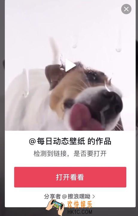 抖音狗舔屏动态壁纸在哪_抖音狗舔屏动态壁纸分享