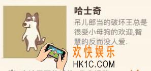 动物餐厅哈士奇来访条件是什么_哈士奇来访条件介绍