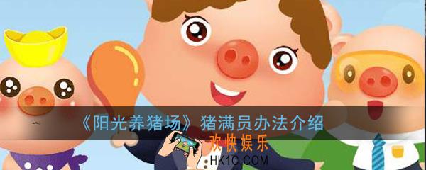 阳光养猪场猪屋满了合成不了怎么办_回收猪在哪猪场猪满员办法介绍