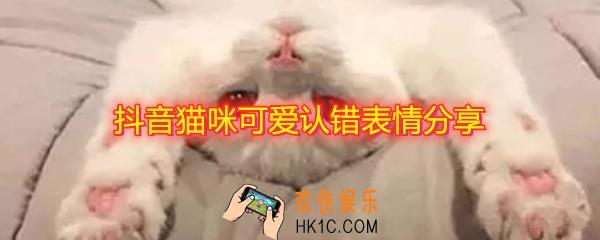 抖音猫咪可爱认错表情在哪_猫咪可爱我错了表情分享