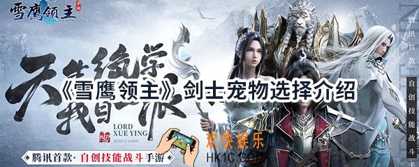 雪鹰领主手游剑士选择什么宠物_剑士宠物选择介绍