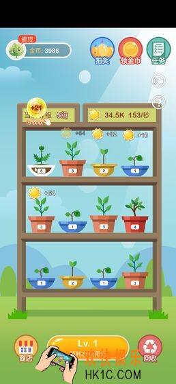 阳光金币屋是真的吗_阳光金币屋赚钱真假分析