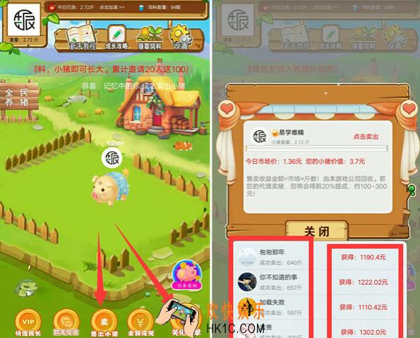 全民养猪500斤要多久_全民养猪500斤的猪需要多长时间