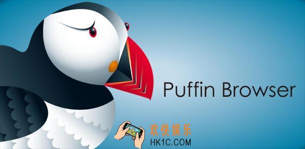 puffin浏览器连接不上怎么办_puffin浏览器无法访问网络解决办法