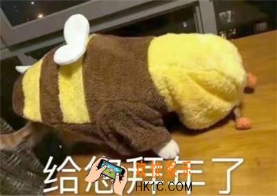 拜年给您拜回去表情包_抖音拜年给您拜回去表情包原图下载