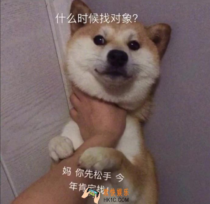 妈你先松手今年肯定找表情包_狗被掐住脖子表情原图