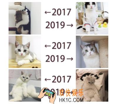 朋友圈←2017 2019→什么意思什么梗_2017到2019含义出处介绍