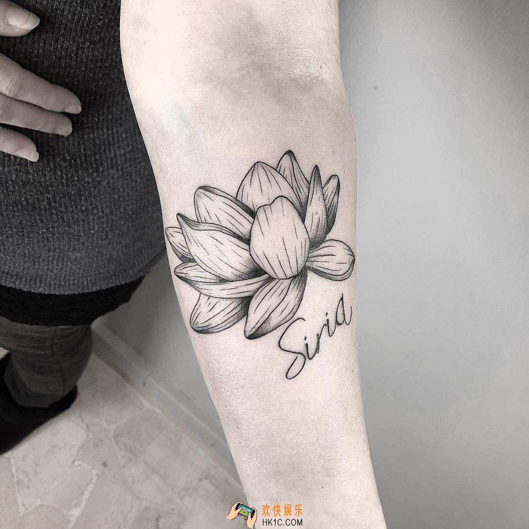抖音灰莲花什么意思什么梗_灰莲花含义出处介绍