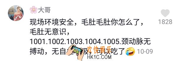 抖音毛肚毛肚你怎么了全句是什么_毛肚毛肚你怎么了全句介绍