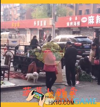 抖音菠菜贱卖是什么梗_菠菜贱卖出处含义介绍