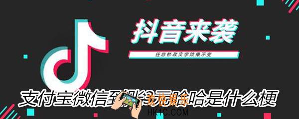 抖音支付宝微信到账3元哈哈是什么梗_意思_含义_出处介绍