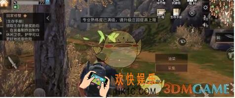 明日之后油菜花在哪里采集/摘_油菜花哪多