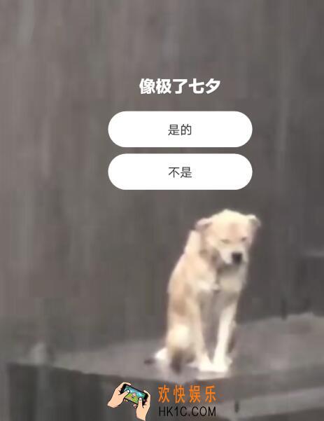 七夕快乐_抖音像极了单身狗过七夕的样子图片分享