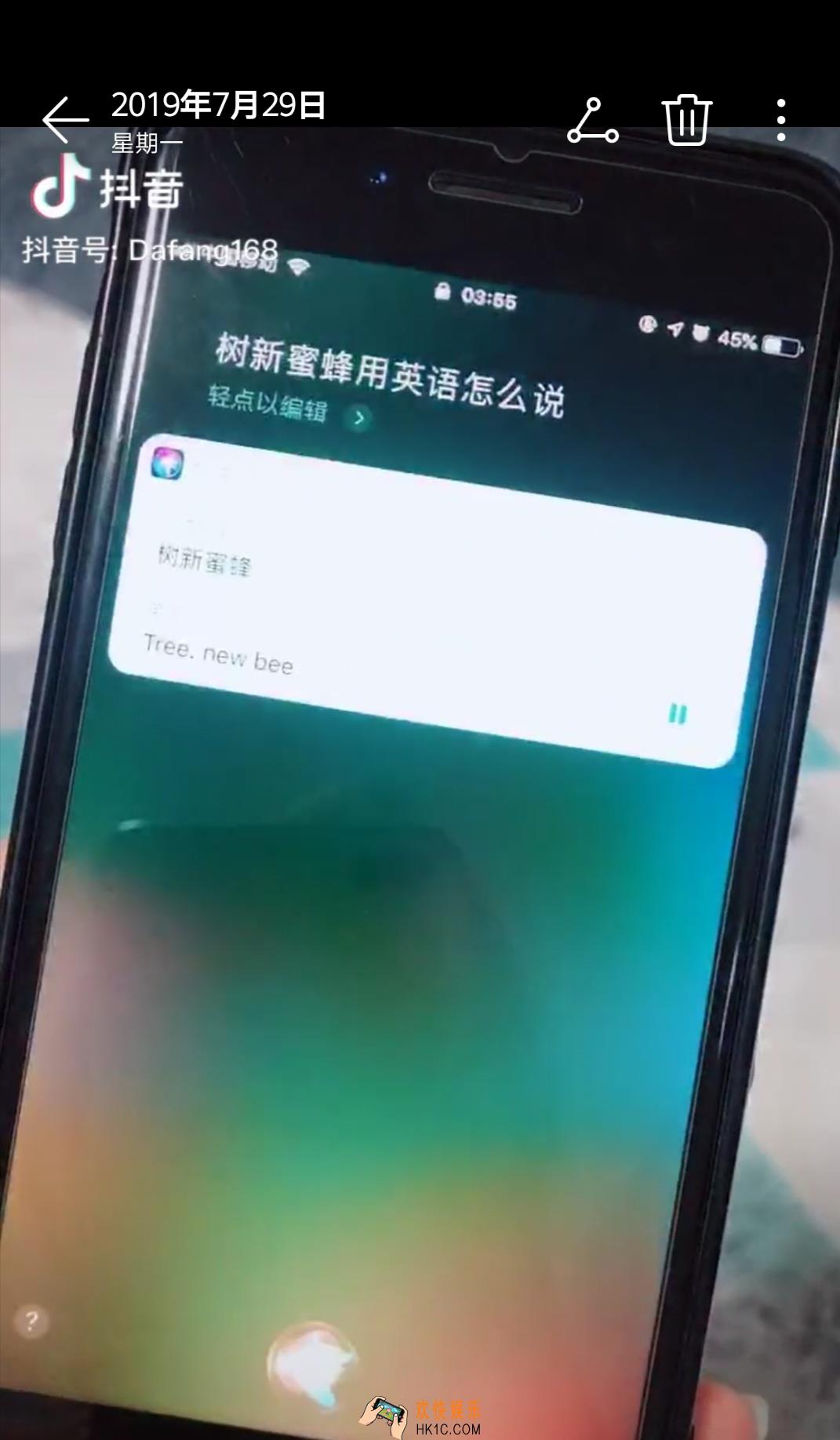 抖音树新蜜蜂是什么梗_树新蜜蜂是什么梗