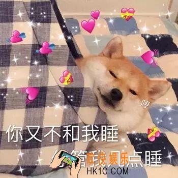 抖音你又不和我睡你管我几点睡表情包_抖音热门表情