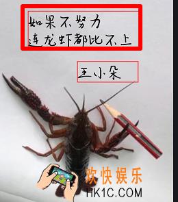 抖音小龙虾写字特效是怎么弄的_小龙虾写字特效方法介绍
