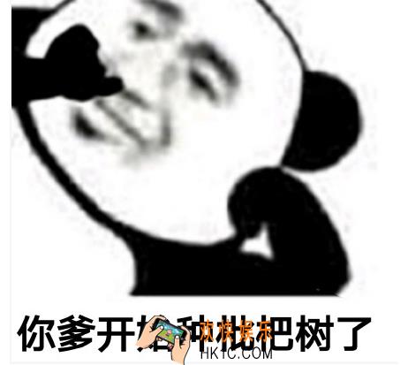 你爹开始种枇杷树了是什么梗_你爹开始种枇杷树了含义介绍