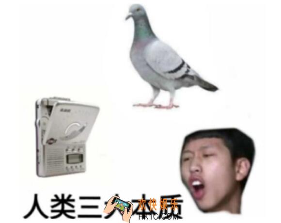 人类三大本质什么意思 抖音复读机真香鸽子含义出处分享