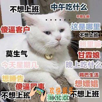 抖音人生不如意之处十之八九莫生气表情包有哪些_人生不如意之处十之八九莫生气表情包