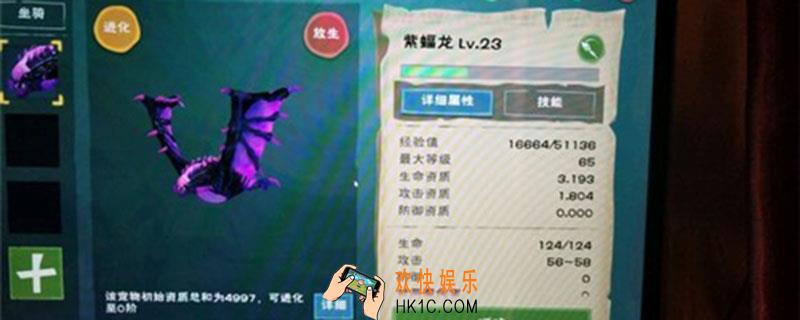 创造与魔法紫蝠龙进化_创造与魔法紫蝠龙怎么进化