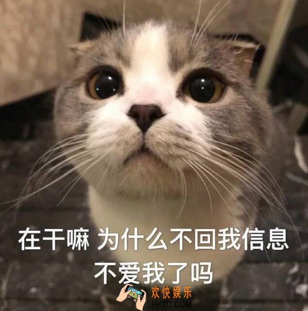 抖音电话不接信息不回是什么梗 抖音热梗含义出处分享