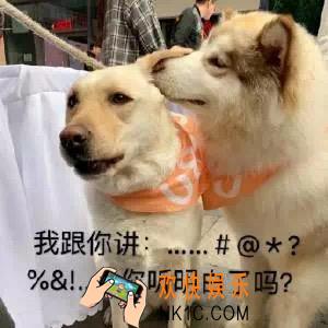 抖音我跟你讲你听明白了吗图片分享_我跟你讲你听明白了吗图片下载
