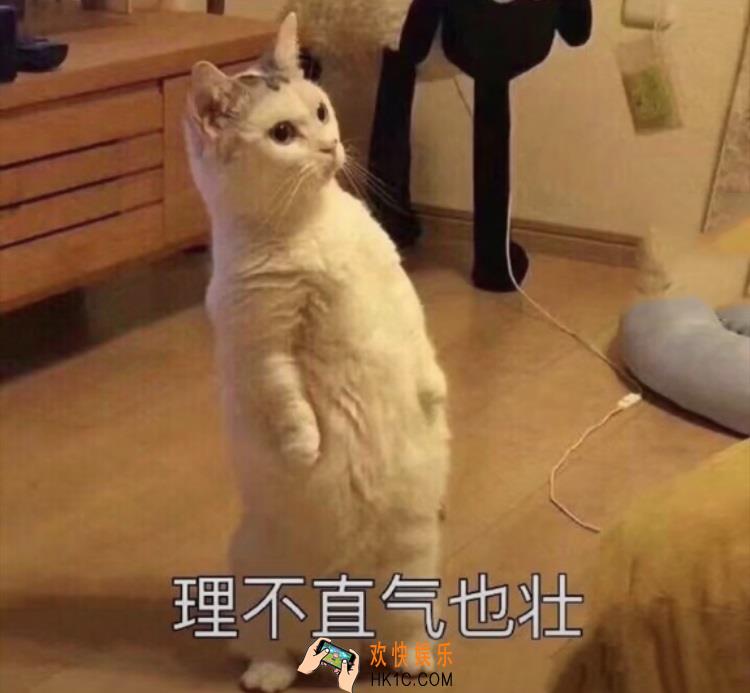 抖音理不直气也壮图片分享_理不直气也壮表情包下载