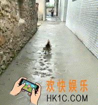 抖音一步一个脚印动态表情包在哪下载_一步一个脚印动态表情包