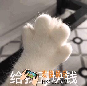 抖音猫爪给我五块钱表情原图_抖音热门表情
