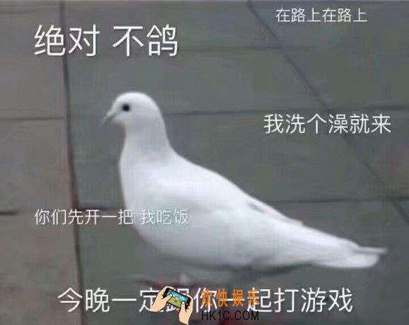 鸽子的反义词是知更鸟是什么梗_我要鸽了