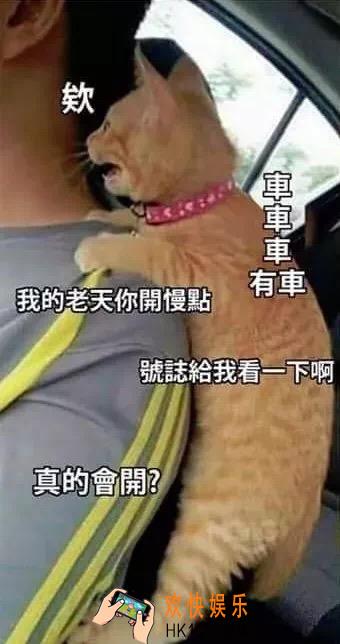 抖音当朋友刚拿驾照时表情包图片分享_当朋友刚拿驾照时原图下载