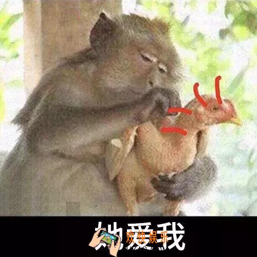 抖音她爱我她不爱我表情_猴子拔鸡毛她爱我表情包