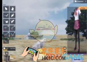绝地求生刺激战场宠物怎么升级_宠物升级技巧