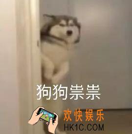 抖音狗狗祟祟带字表情包分享_抖音狗狗祟祟带字表情包下载