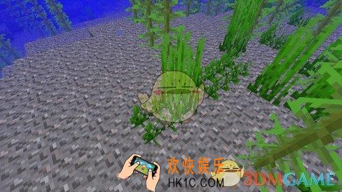 我的世界海草怎么种_海草种植方法介绍