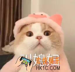 抖音叫媳妇叫老婆说爱我表情包分享_叫媳妇叫老婆说爱我表情包原图下载