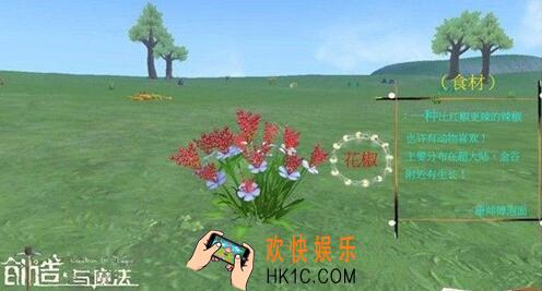 创造与魔法花椒分布在哪_花椒分布位置一览