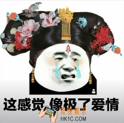 抖音这感觉像极了爱情图片下载_这感觉像极了爱情表情包原图分享