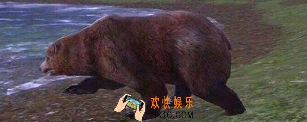 白树高地的熊在哪里_白树高地熊位置介绍