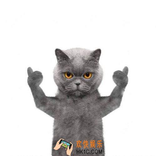 抖音猫点赞手势背景原图_抖音把烦 通了吞了认了算了的短蓝猫竖大拇指点赞图片