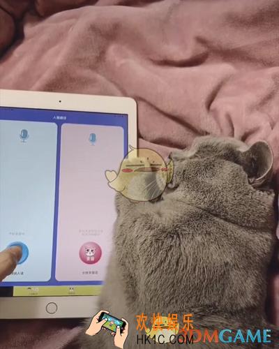 抖音人猫翻译器在哪里下载_人猫翻译器下载地址介绍
